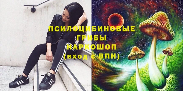 гидра Сафоново
