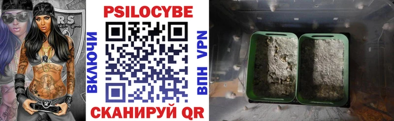Псилоцибиновые грибы мухоморы  MEGA как войти  Губкин 