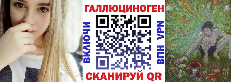 Псилоцибиновые грибы Psilocybe Губкин